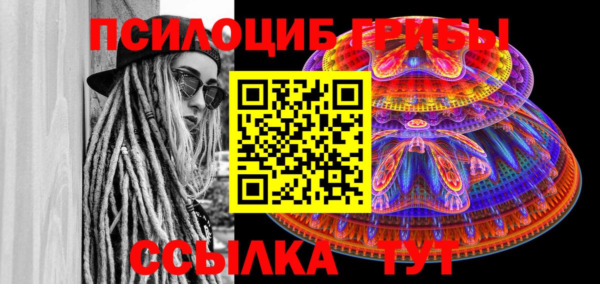 Вышний Волочёк  Псилоцибиновые грибы Psilocybe  Вход с VPN 