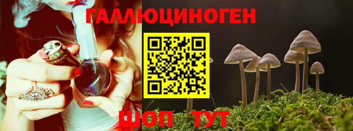 Псилоцибиновые грибы GOLDEN TEACHER Вышний Волочёк